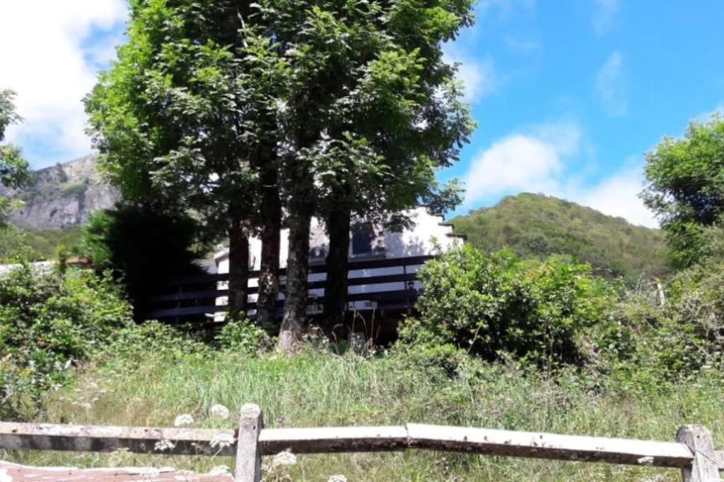 Chalet Oustaou Campan La Mongie Col Du Tourmalet Екстериор снимка